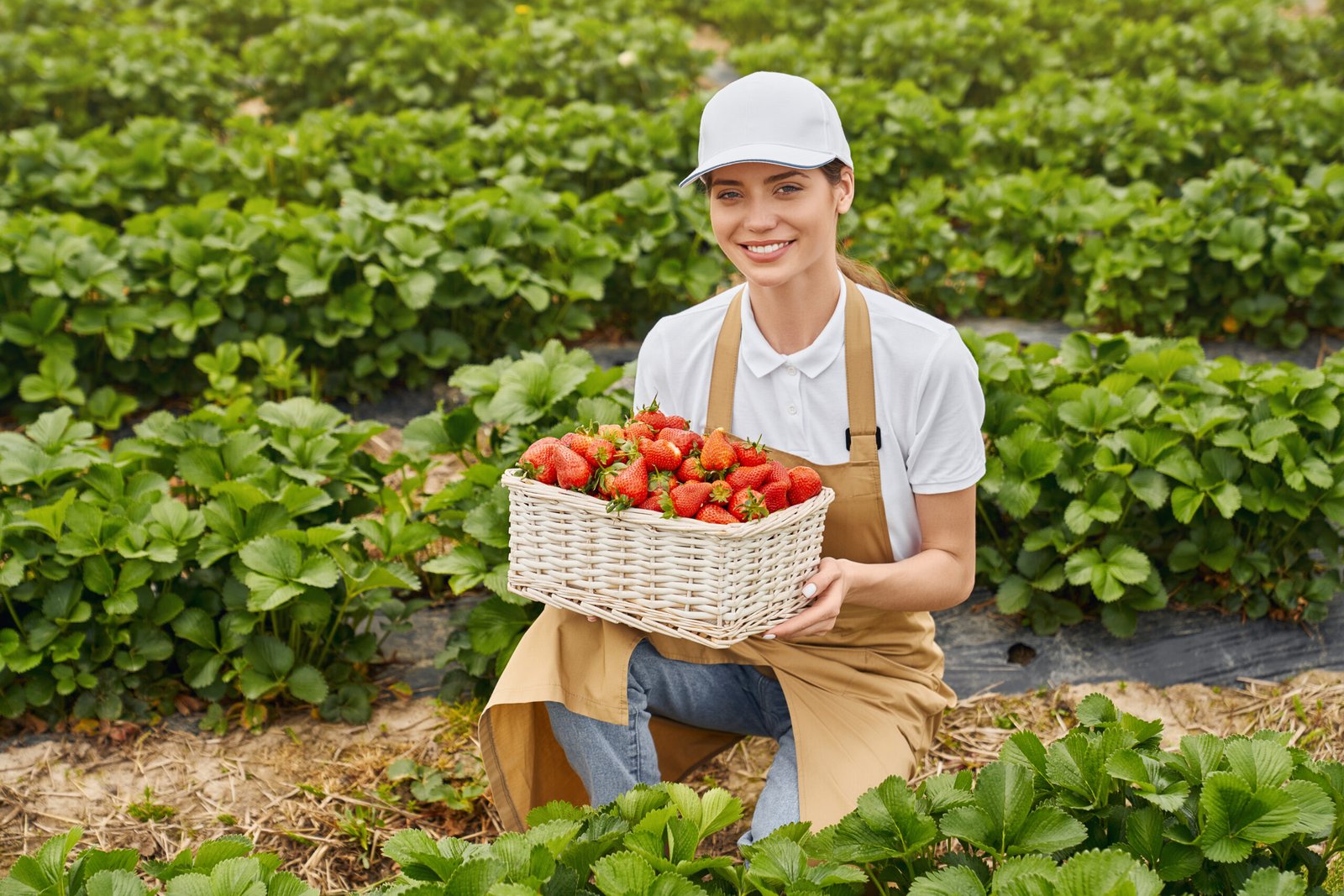 Fruit Farm Worker Jobs in Canada