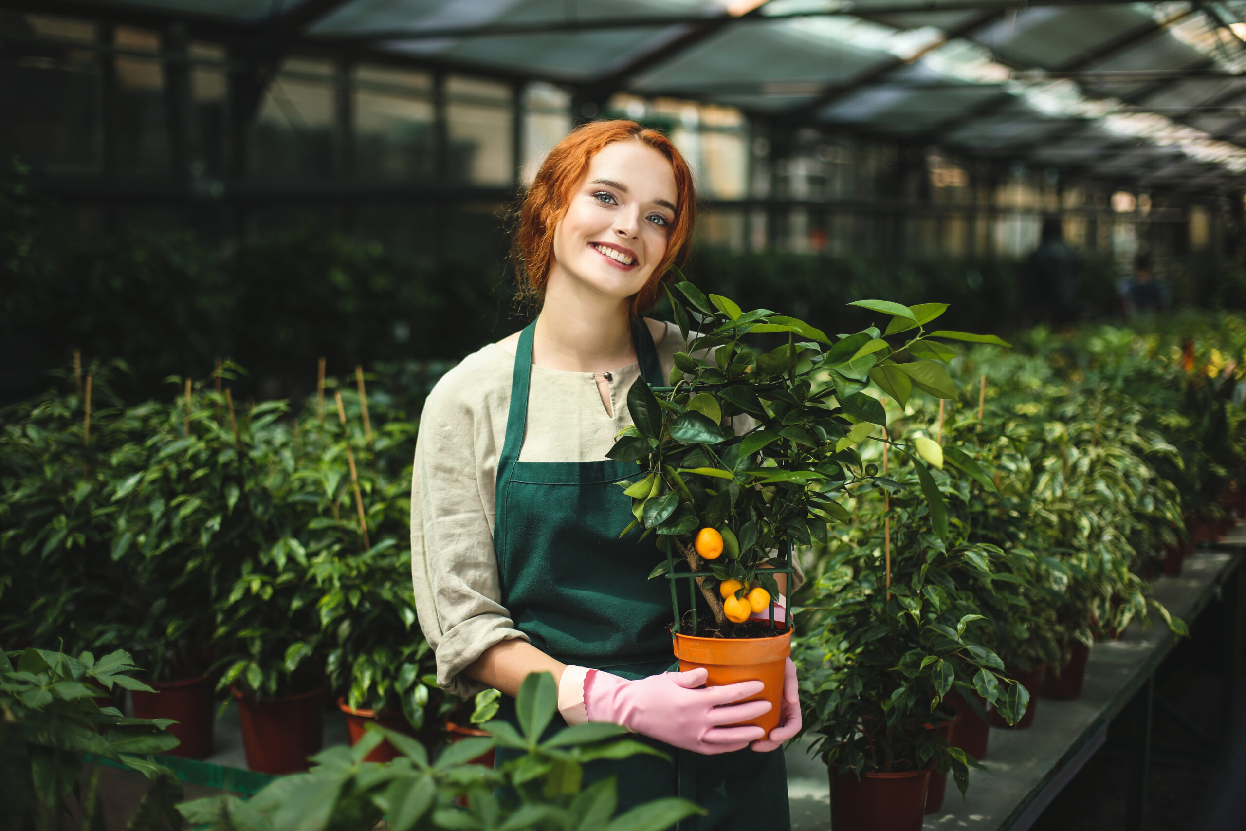 Nursery Hand Jobs in Australia