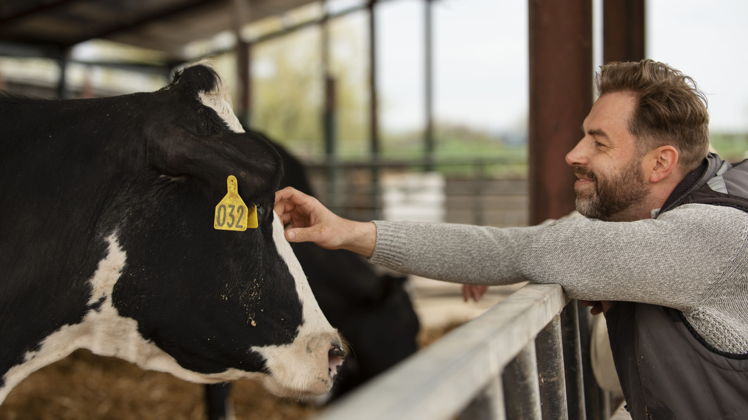 Dairy Farm Worker Jobs in Australia