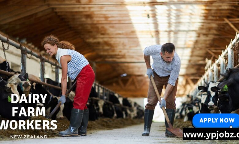 Dairy Farm Workers Jobs in New Zealand