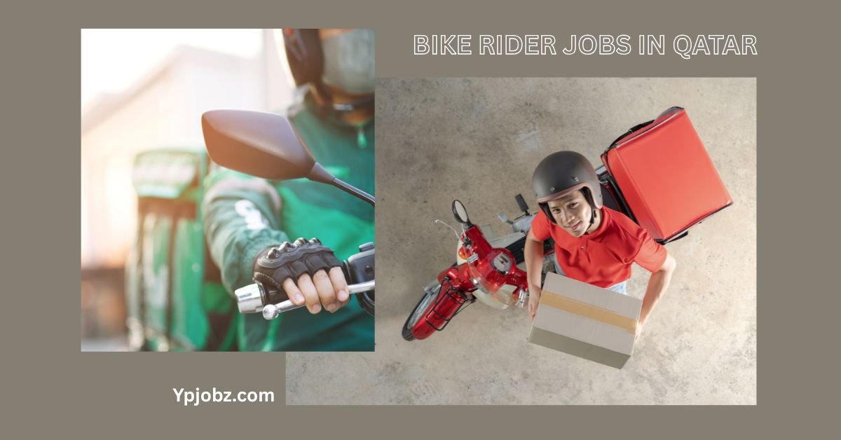 Bike Rider Jobs in Qatar